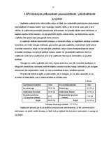 Biznesa plāns 'IU "Almetsa"', 22.