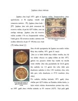 Referāts 'Japānas jēna', 3.