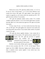 Referāts 'Japānas jēna', 6.
