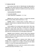 Referāts 'Uzņēmējdarbības ārējās un iekšējās vides ietekmējošie faktori SIA "XXX"', 8.