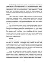 Referāts 'Uzņēmējdarbības ārējās un iekšējās vides ietekmējošie faktori SIA "XXX"', 21.