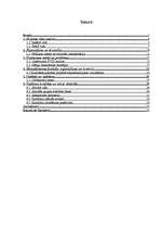 Biznesa plāns 'Projekts par veco ļaužu pansiju "Vienmēr jauns"', 2.