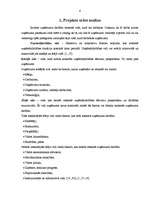 Biznesa plāns 'Projekts par veco ļaužu pansiju "Vienmēr jauns"', 4.