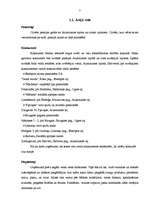 Biznesa plāns 'Projekts par veco ļaužu pansiju "Vienmēr jauns"', 7.