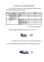 Biznesa plāns 'Projekts par veco ļaužu pansiju "Vienmēr jauns"', 11.