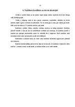 Biznesa plāns 'Projekts par veco ļaužu pansiju "Vienmēr jauns"', 28.