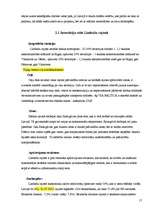 Referāts 'Eiropas Savienības struktūrfondi', 17.