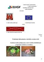 Referāts 'Eiropas Savienības struktūrfondi', 42.