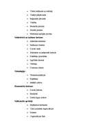 Konspekts 'Organizācijas jēdziens un darbības pamatprincipi', 6.