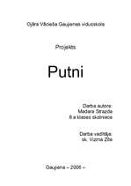 Referāts 'Putni', 1.