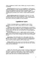 Referāts 'Putni', 6.