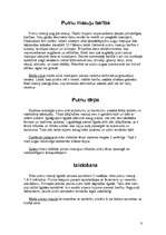 Referāts 'Putni', 9.