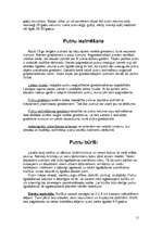 Referāts 'Putni', 11.