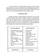 Referāts 'ZS "Puķīte" mārketinga stratēģija', 2.