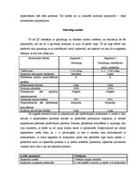 Referāts 'ZS "Puķīte" mārketinga stratēģija', 5.