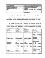 Referāts 'ZS "Puķīte" mārketinga stratēģija', 6.