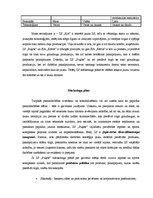 Referāts 'ZS "Puķīte" mārketinga stratēģija', 7.