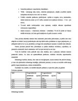 Referāts 'ZS "Puķīte" mārketinga stratēģija', 8.