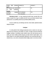 Referāts 'ZS "Puķīte" mārketinga stratēģija', 9.