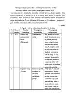 Referāts 'Rotaļas - vidējā pirmsskolas vecuma bērnu runas attīstītājas', 6.