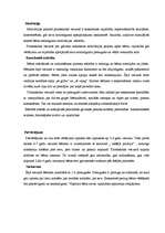 Referāts 'Rotaļas - vidējā pirmsskolas vecuma bērnu runas attīstītājas', 13.