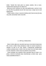 Referāts 'Rotaļas - vidējā pirmsskolas vecuma bērnu runas attīstītājas', 20.