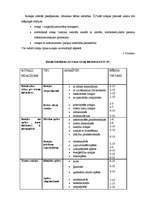 Referāts 'Rotaļas - vidējā pirmsskolas vecuma bērnu runas attīstītājas', 21.
