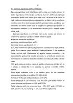 Prakses atskaite 'SIA "yyy" finanšu analīze', 19.