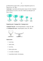 Prakses atskaite 'Profesionālās prakses pārskats ēdināšanas servisā', 41.