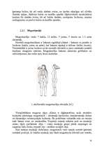 Diplomdarbs 'Liekās ķermeņa masas pieauguma ietekme uz sievietes balsta kustību sistēmu', 14.
