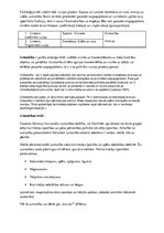 Konspekts 'Uzmanība', 1.