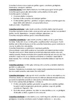 Konspekts 'Uzmanība', 3.