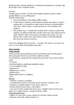 Konspekts 'Uzmanība', 4.