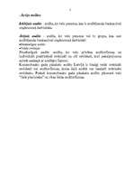 Konspekts 'Audita veidi', 2.