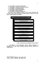 Referāts 'Reklāmas kampaņas plāns', 4.