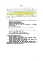 Referāts 'Reklāmas kampaņas plāns', 5.