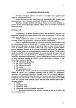 Referāts 'Reklāmas kampaņas plāns', 10.