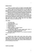 Referāts 'Reklāmas kampaņas plāns', 12.