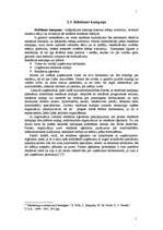 Referāts 'Reklāmas kampaņas plāns', 14.