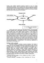 Referāts 'Reklāmas kampaņas plāns', 17.