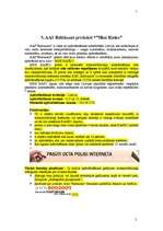 Referāts 'Reklāmas kampaņas plāns', 26.