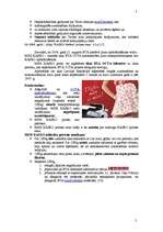 Referāts 'Reklāmas kampaņas plāns', 29.