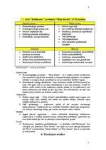 Referāts 'Reklāmas kampaņas plāns', 31.