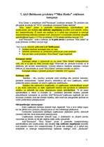 Referāts 'Reklāmas kampaņas plāns', 34.