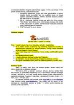 Referāts 'Reklāmas kampaņas plāns', 35.