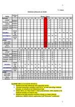 Referāts 'Reklāmas kampaņas plāns', 38.