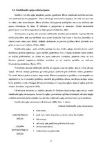 Prakses atskaite 'Aktīvā mācību un audzināšanas prakse pirmsskolā', 11.