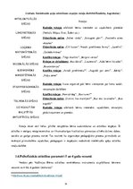 Prakses atskaite 'Aktīvā mācību un audzināšanas prakse pirmsskolā', 14.