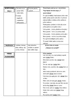 Prakses atskaite 'Aktīvā mācību un audzināšanas prakse pirmsskolā', 41.