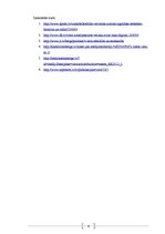 Eseja 'Mediji lieto mani vai es lietoju medijus?', 5.